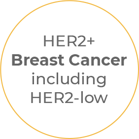 Breast Cancer Clinical Trial for HER2 Positive Tumors